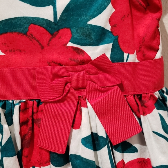 Carter's dress. 24months - Picture 2 of 9